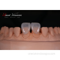 /msite/products/detail/productid/68360323/id/1520266.html